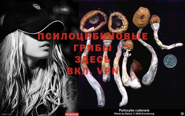 марихуана Кукмор