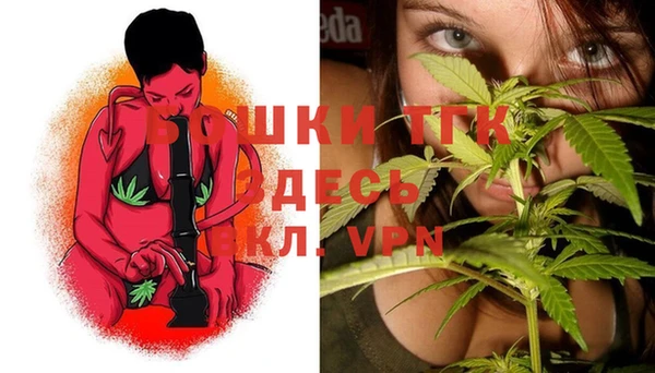 PSILOCYBIN Кулебаки