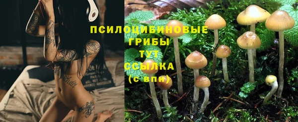 PSILOCYBIN Кулебаки