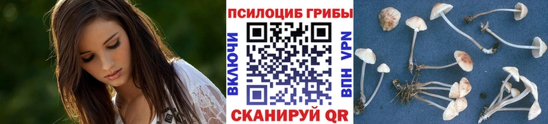 Псилоцибиновые грибы Cubensis  Купить где  Ивангород 
